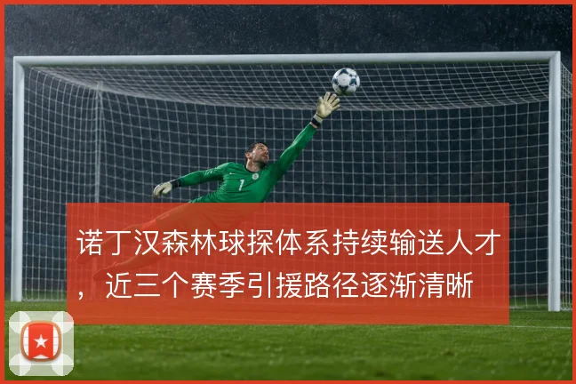 诺丁汉森林球探体系持续输送人才，近三个赛季引援路径逐渐清晰