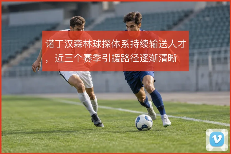 诺丁汉森林球探体系持续输送人才，近三个赛季引援路径逐渐清晰